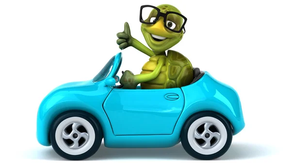 Grappige schildpad in auto — Stockfoto