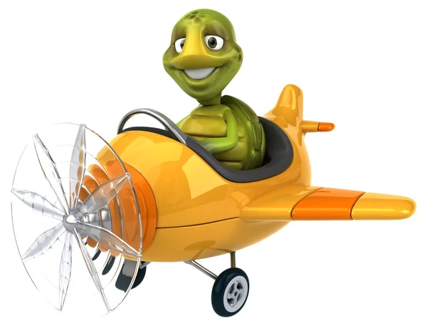 Tartaruga divertente in aereo — Foto Stock