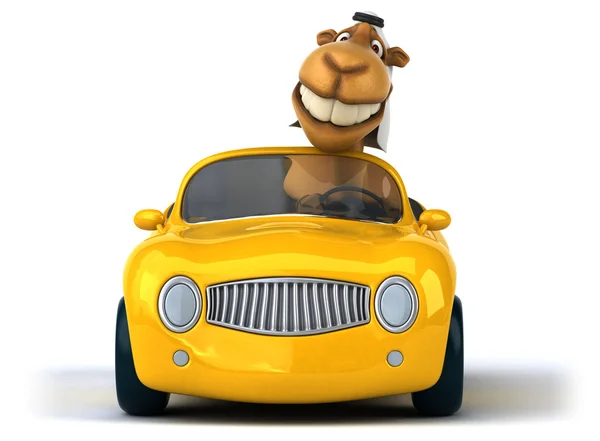 Lustiges Kamel im Auto — Stockfoto