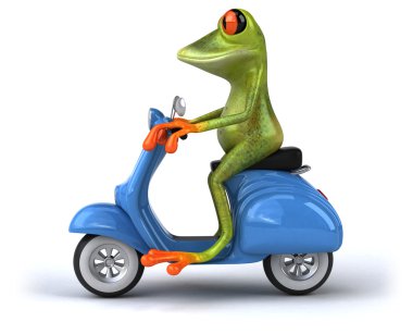Motosiklet üzerinde komik kurbağa
