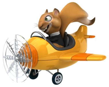 Uçak içinde komik sincap