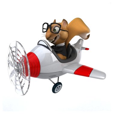 Uçak içinde komik sincap