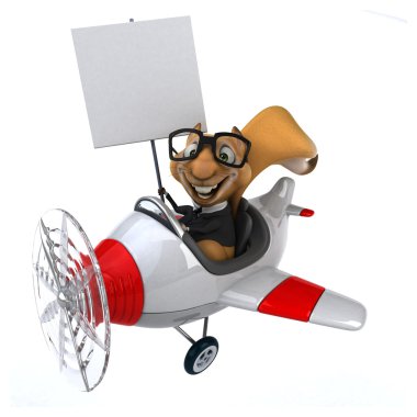 Uçak içinde komik sincap