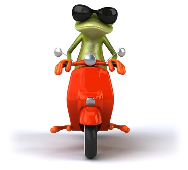 Fun cartoon frog — Stock Photo, Image