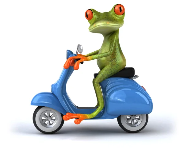 Grenouille drôle sur moto — Photo