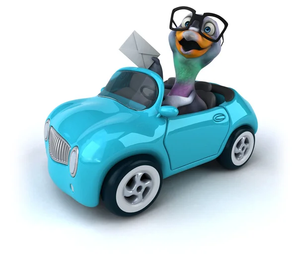 Legrační holub v autě — Stock fotografie