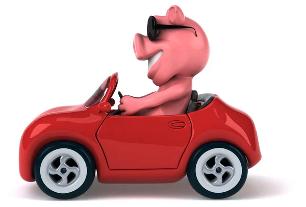 차에 재미 있는 돼지 — 스톡 사진