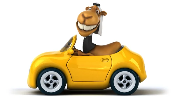 Забавный верблюд в машине — стоковое фото