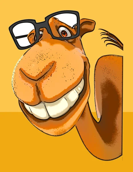 Camel de dessin animé amusant — Photo