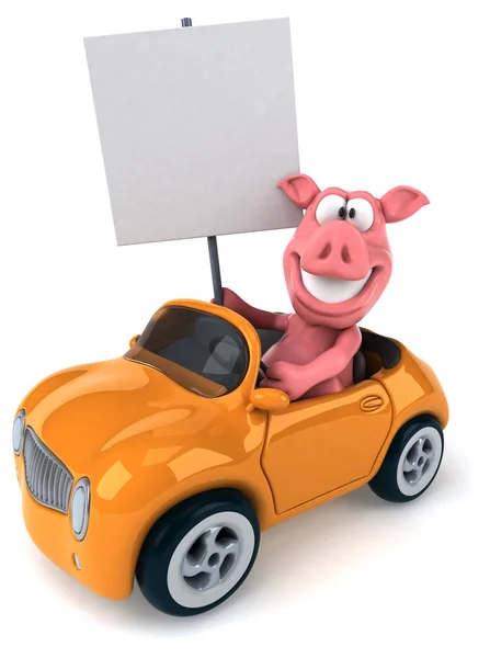 Веселая свинья в машине — стоковое фото