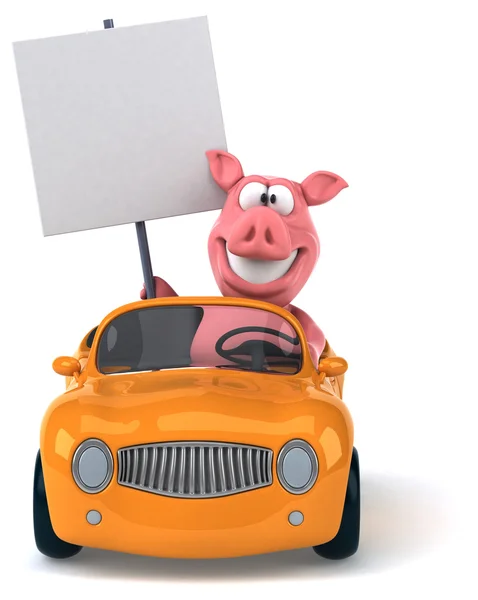 Cochon amusant en voiture — Photo