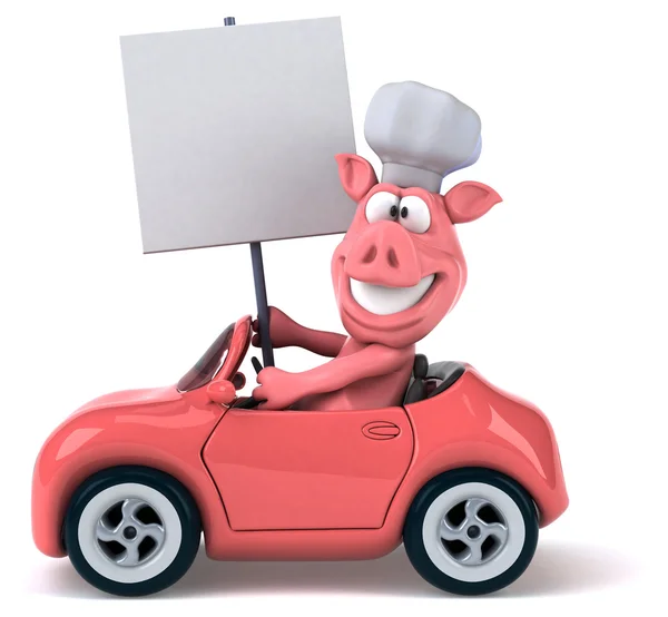 Fun pig in car — Stock Photo, Image