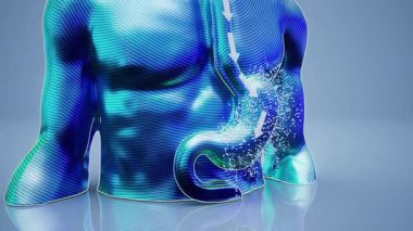 Mide anatomisi gösteren bir adamın kavramsal 3 boyutlu animasyonu