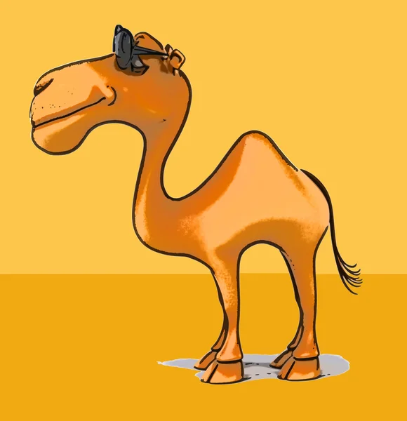 Roliga tecknade kamel — Stockfoto
