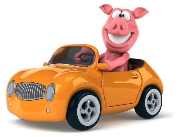 Funny pig in car — Stock Photo, Image