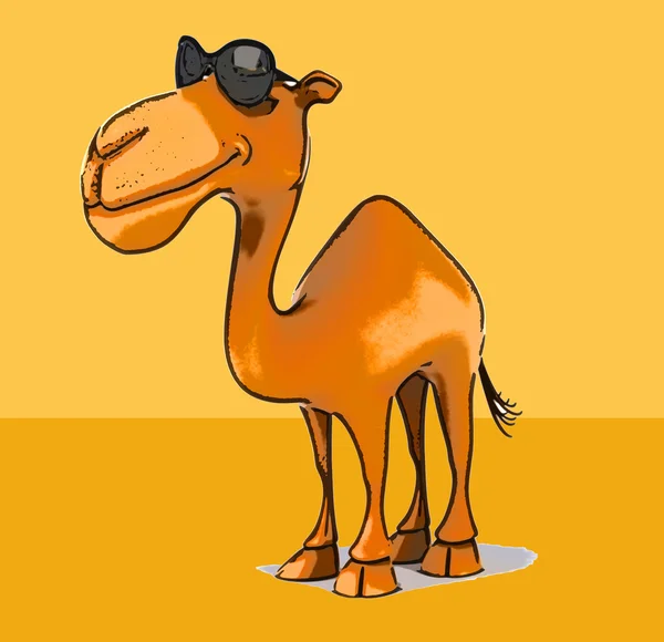 Fun cartoon camel — Stock Photo, Image