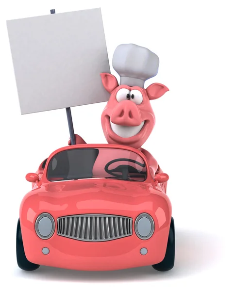 Cochon drôle en voiture — Photo