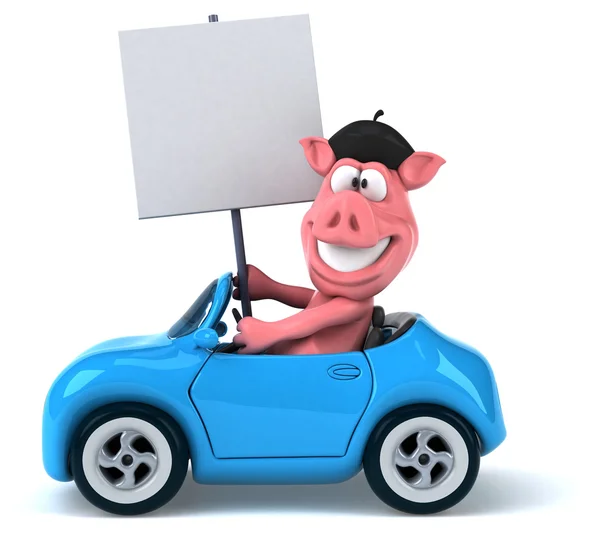 Porco engraçado no carro — Fotografia de Stock