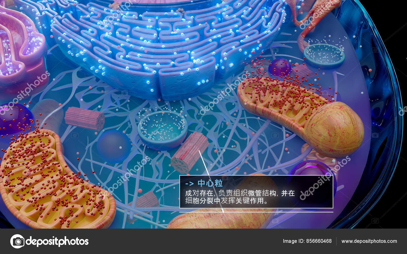 Parabites 🌿 (@para_bites) • Instagram photos and videos, image size:1600x1000