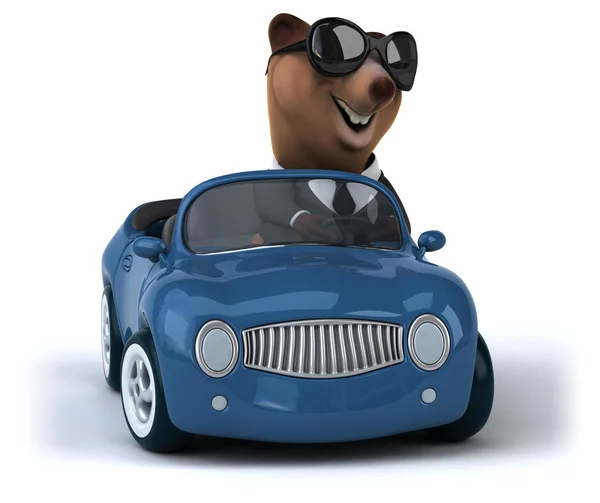 Urso engraçado no carro — Fotografia de Stock