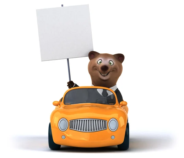 Vtipné medvěd v autě — Stock fotografie