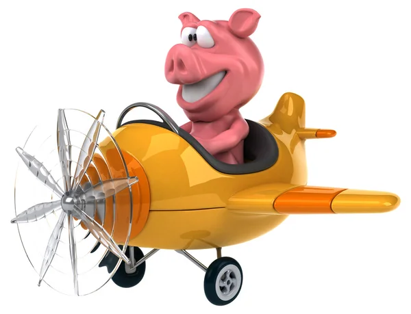 비행기에서 재미 있는 돼지 — 스톡 사진