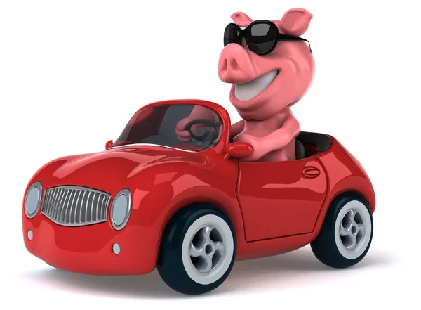 Смішна свиня в машині — стокове фото