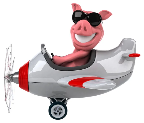 비행기에서 재미 있는 돼지 — 스톡 사진