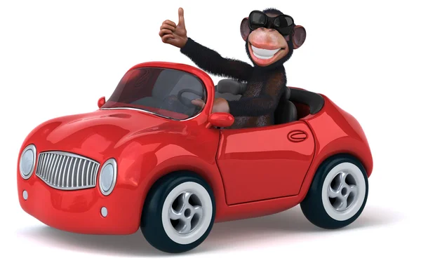 車で楽しい猿 — ストック写真