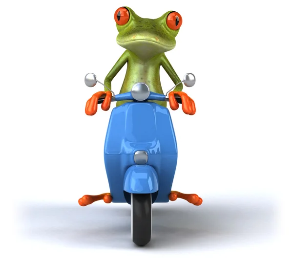 Grenouille amusante sur scooter — Photo