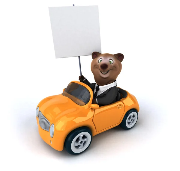 Fun bear in car — Stock Photo, Image