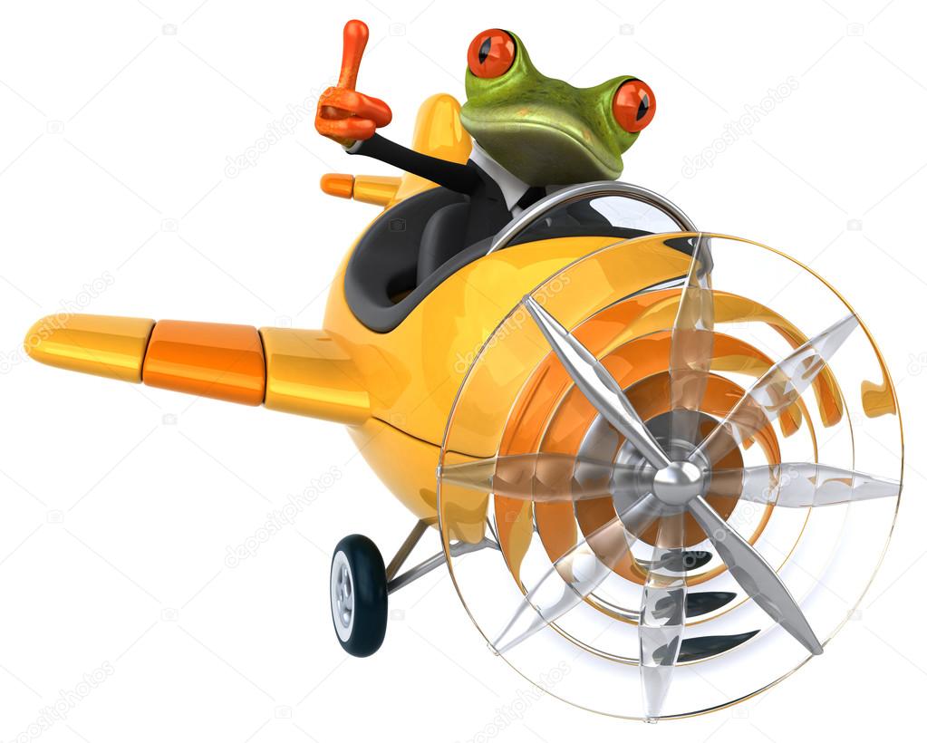 Funny frog in aeroplane