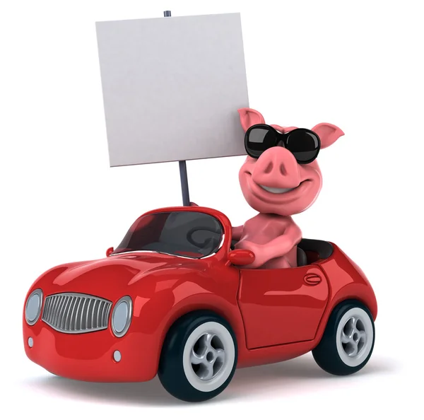 Fun pig in car — Stock Photo, Image