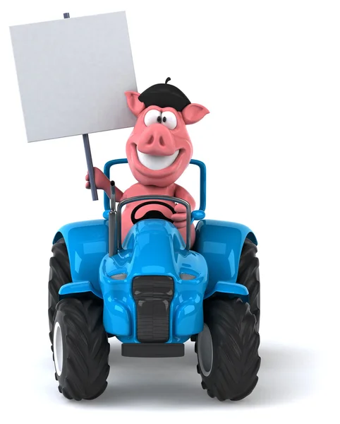 Fun pig on tractor — Stock Photo, Image