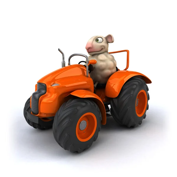 Fun sheep on tractor — Stock Photo, Image