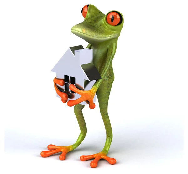 Funny cartoon frog — Stock Photo, Image