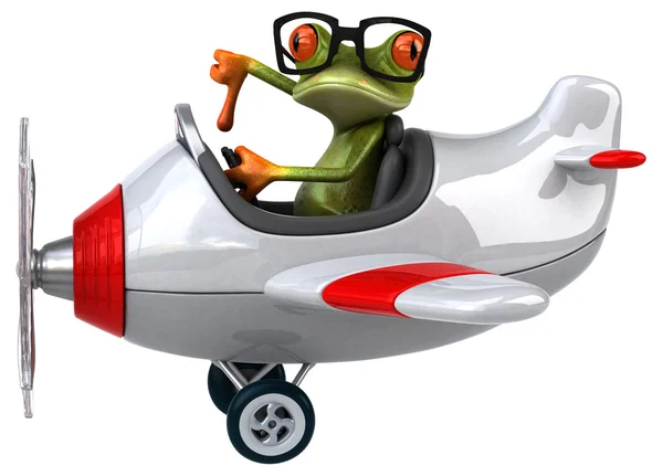 Fun frog in airplane — Stock Photo, Image
