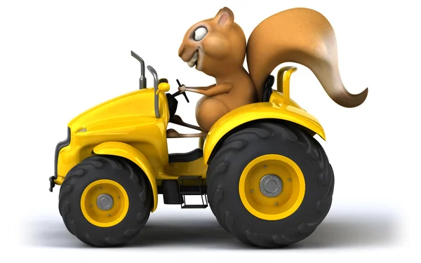 Fun squirrel in tractor — Stock Photo, Image