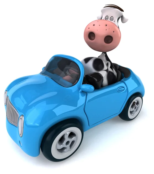 Zabawne krowy w samochodzie — Zdjęcie stockowe