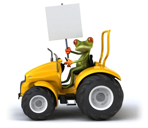 Fun cartoon frog — Stock Photo, Image