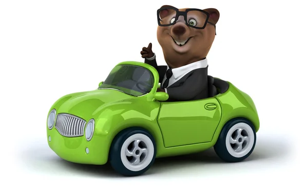 Fun bear in car — Stock Photo, Image