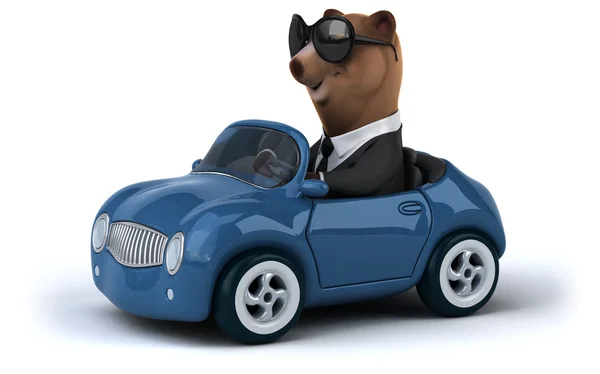 Funny bear in car — Stock Photo, Image