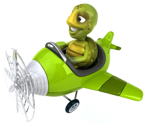 Funny turtle in aeroplane — Stock Photo, Image