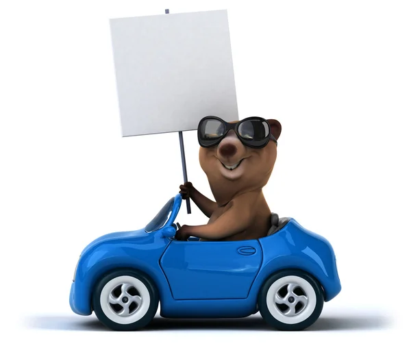 Забавный медведь в машине — стоковое фото