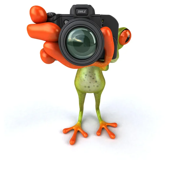 Rana divertente con fotocamera — Foto Stock