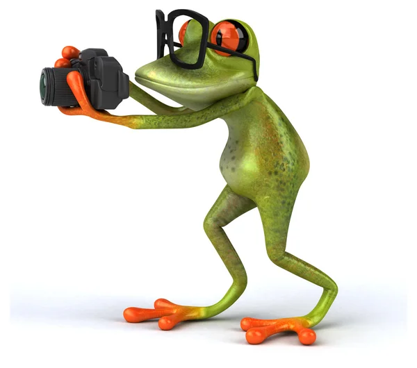 Funny frog with camera — Stock Photo, Image