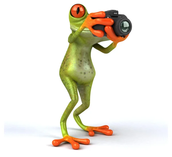 Funny frog with camera — Stock Photo, Image