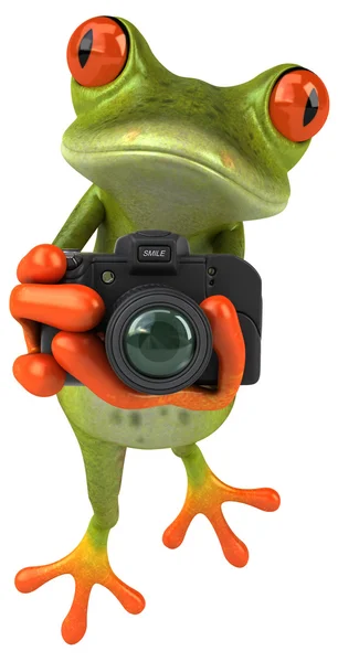 Grappige kikker met camera — Stockfoto