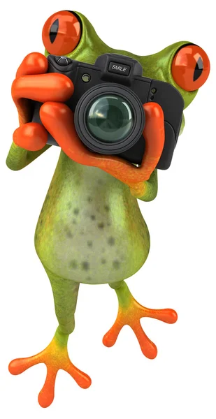 カメラで面白いカエル — ストック写真