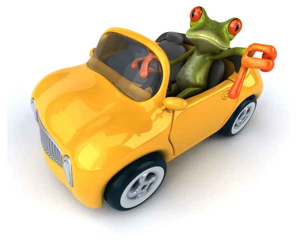 Fun frog in car — Stock Photo, Image